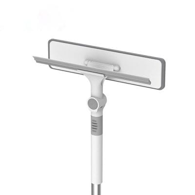 cây lau Kính okwife