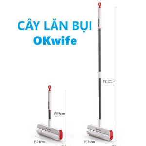 cây lăn bụi mua ở đâu